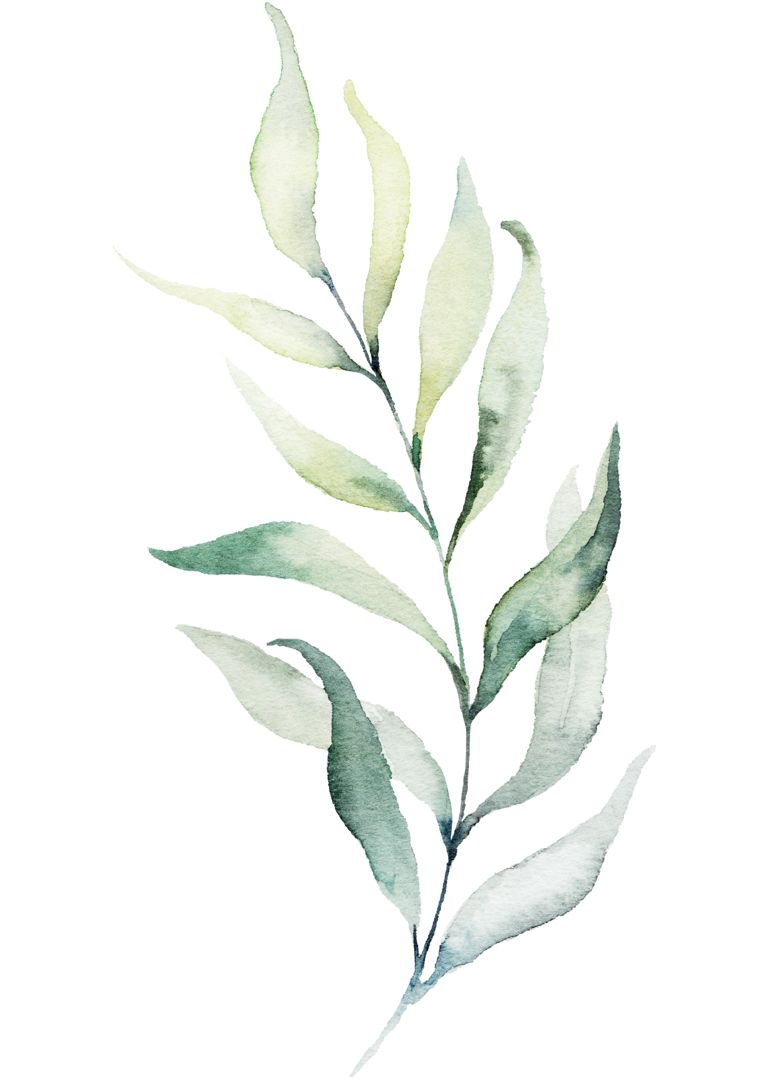 CB Right Footer Leaves.png